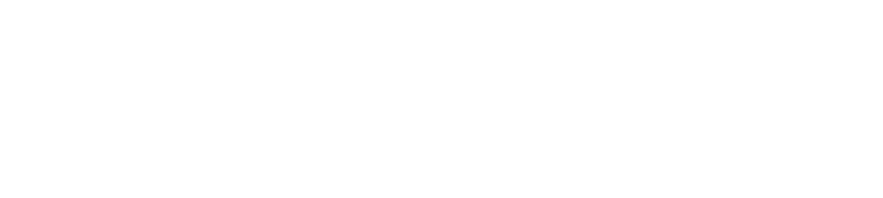 PlusCode Website Design